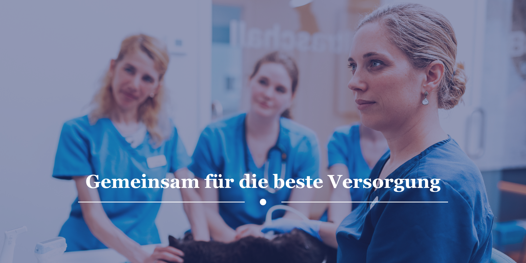 Teaserbild Frontier Kleintierspezialisten